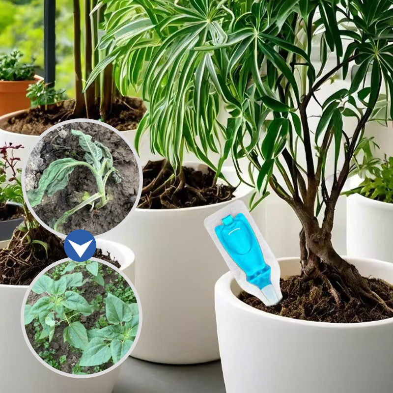 ⏳Begrenzte Zeit 50% Rabatt💥Flüssiger Mehrpflanzen-Revitalisierer