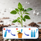⏳Begrenzte Zeit 50% Rabatt💥Flüssiger Mehrpflanzen-Revitalisierer