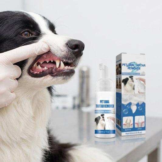🌞Frühlingserwachen: 50% Rabatt!🐾 Schaum-Zahnsteinentferner für Haustiere – Natürliche Formel & mühelose Anwendung!