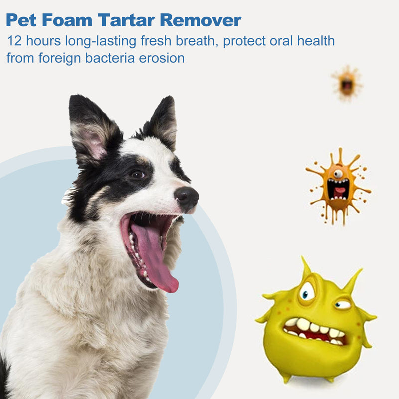 🌞Frühlingserwachen: 50% Rabatt!🐾 Schaum-Zahnsteinentferner für Haustiere – Natürliche Formel & mühelose Anwendung!