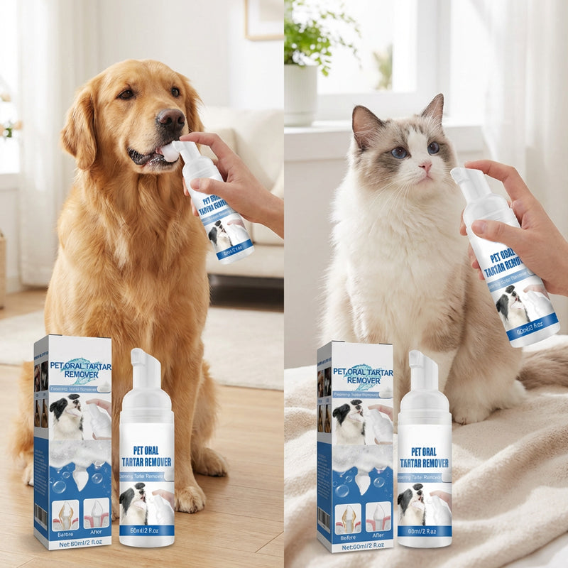 🌞Frühlingserwachen: 50% Rabatt!🐾 Schaum-Zahnsteinentferner für Haustiere – Natürliche Formel & mühelose Anwendung!