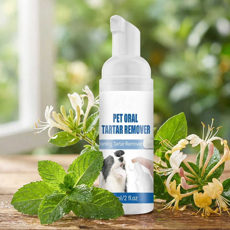 🌞Frühlingserwachen: 50% Rabatt!🐾 Schaum-Zahnsteinentferner für Haustiere – Natürliche Formel & mühelose Anwendung!