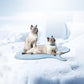Leaf-Shaped Washable Cooling Mat for Pets