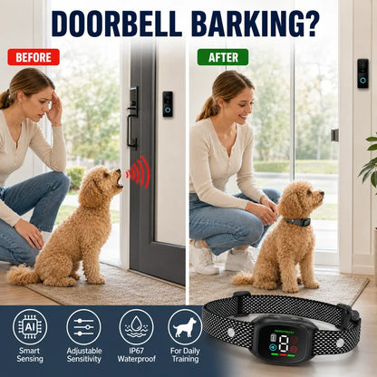 Intelligentes Antibellhalsband für Hunde