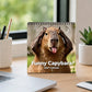 🦫 Funny Capybara Wall Calendar for 2027