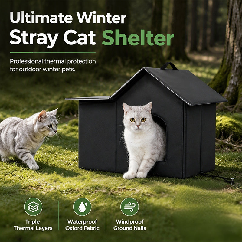 Isolierter & wetterfester Katzenunterstand für draußen – Schutz & Komfort im Winter