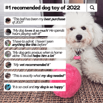 Anti-Angst Automatischer Bewegungsball für Hunde und Katzenspielzeuge